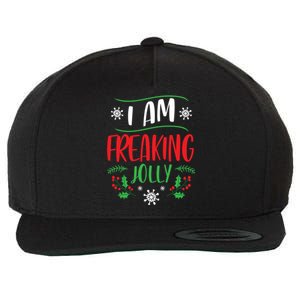 I Am Freaking Jolly Xmas Clothes Gift Cool Christmas Holiday Gift Wool Snapback Cap