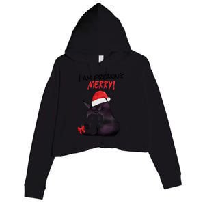 I Am Freaking Merry Funny Christmas Cat Merry Catmas Great Gift Crop Fleece Hoodie