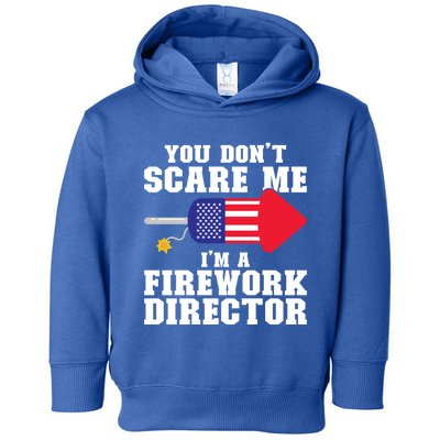 Im A Firework Director Firework Director Cute Gift Toddler Hoodie