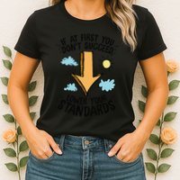If At First You Don’T Succeed Lower Your Standards Womens T-Shirt