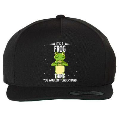 Its A Frog Thing Frog Wool Snapback Cap