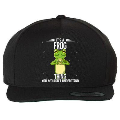 Its A Frog Thing Frog Wool Snapback Cap