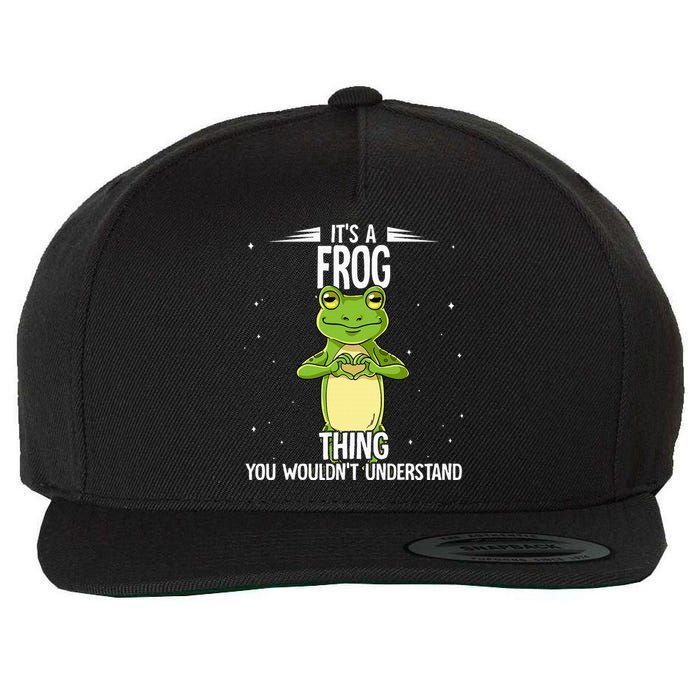 Its A Frog Thing Frog Wool Snapback Cap