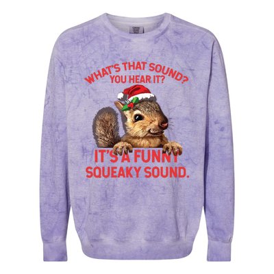 Its A Funny Squeaky Sound Christmas Squirrel Colorblast Crewneck Sweatshirt