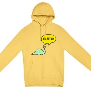 ItS Autism! Funny Dinosaur Autism Gift Premium Pullover Hoodie