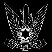 Israeli Air Force IDF IAF Israel Defense Force Pilot Women's Crop Top Tee
