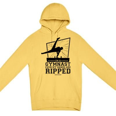 IM A Gymnast Even My Hands Are Ripped Gymnastic Great Gift Premium Pullover Hoodie