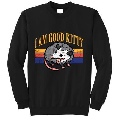 I Am Good Kitty Opossum Retro Possum Cat Pet Sweatshirt