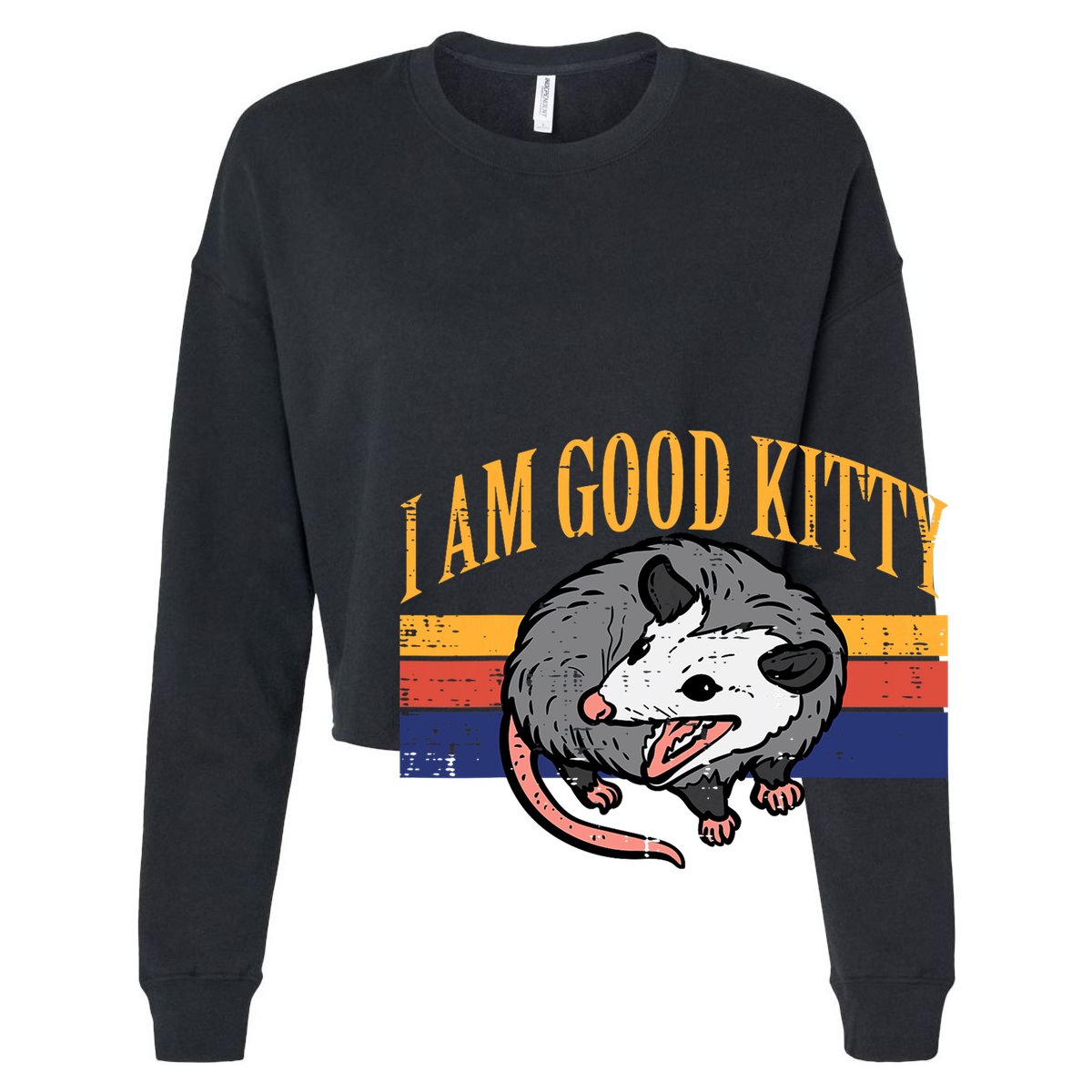 I Am Good Kitty Opossum Retro Possum Cat Pet 15oz Campfire Ceramic Mug