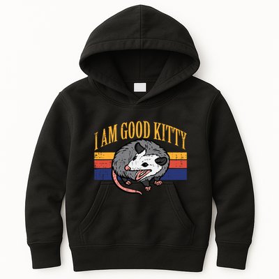 I Am Good Kitty Opossum Retro Possum Cat Pet Kids Hoodie