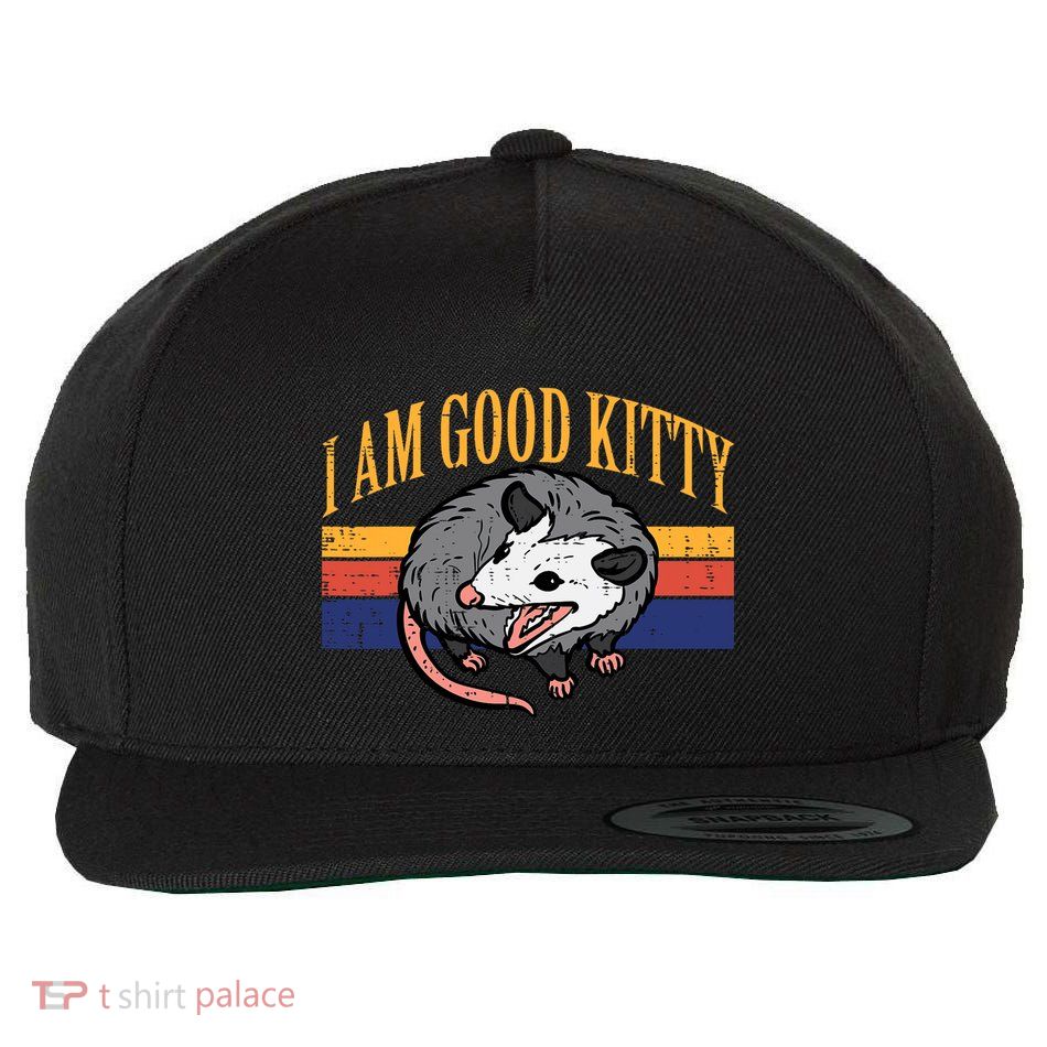 I Am Good Kitty Opossum Retro Possum Cat Pet Wool Snapback Cap