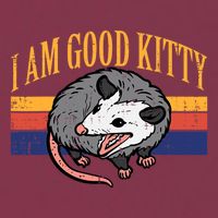 I Am Good Kitty Opossum Retro Possum Cat Pet 16oz Travel Tumbler