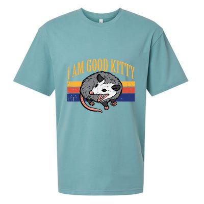 I Am Good Kitty Opossum Retro Possum Cat Pet Sueded Cloud Jersey T-Shirt