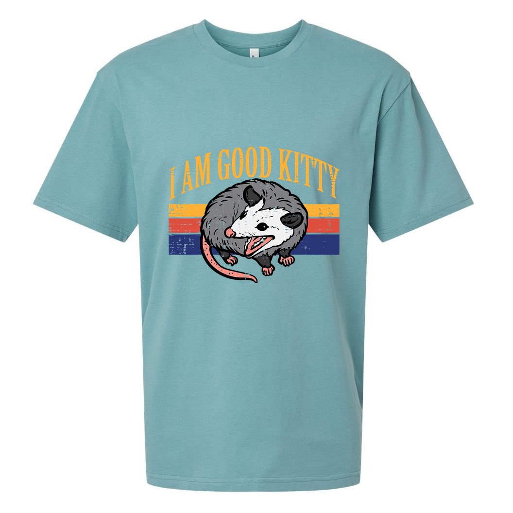 I Am Good Kitty Opossum Retro Possum Cat Pet Sueded Cloud Jersey T-Shirt