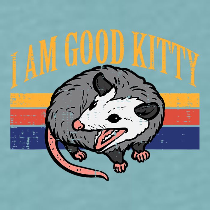 I Am Good Kitty Opossum Retro Possum Cat Pet Sueded Cloud Jersey T-Shirt