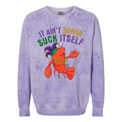 It Aint Gonna Suck Itself Crawfish Mardi Gras Funny Colorblast Crewneck Sweatshirt