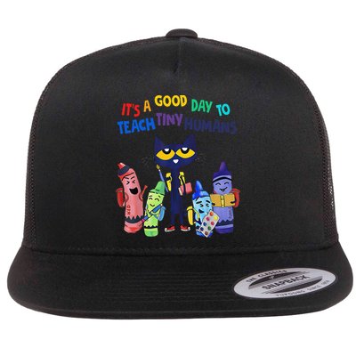Its A Good Day To Teach Tiny Humans Cat Teacher Lover Flatbill Hat