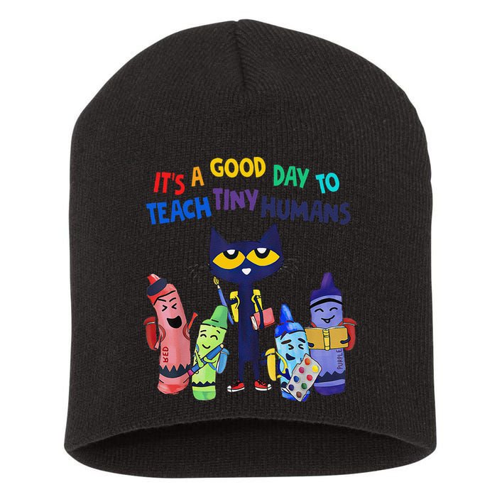 Its A Good Day To Teach Tiny Humans Cat Teacher Lover Short Acrylic Beanie