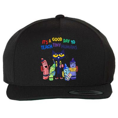 Its A Good Day To Teach Tiny Humans Cat Teacher Lover Wool Snapback Cap