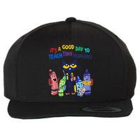 Its A Good Day To Teach Tiny Humans Cat Teacher Lover Wool Snapback Cap