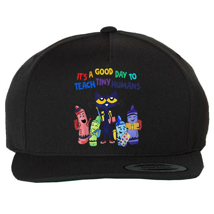 Its A Good Day To Teach Tiny Humans Cat Teacher Lover Wool Snapback Cap