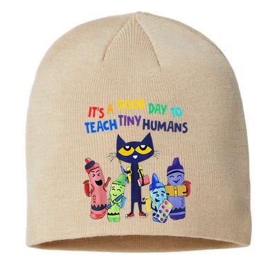 Its A Good Day To Teach Tiny Humans Cat Teacher Lover Sustainable Beanie
