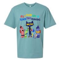 Its A Good Day To Teach Tiny Humans Cat Teacher Lover Sueded Cloud Jersey T-Shirt