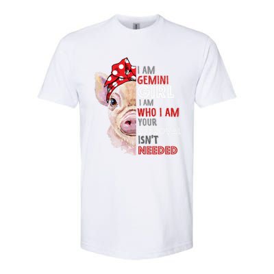 I Am Gemini Who Loves Pigs Star Sign Zodiac Gift Softstyle CVC T-Shirt