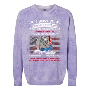 I'm A Grumpy Old Veteran I Sacrificed And Served Don't Regret Gift Colorblast Crewneck Sweatshirt