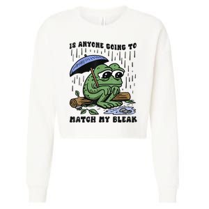 Is Anyone Going To Match My Bleak Cropped Pullover Crew