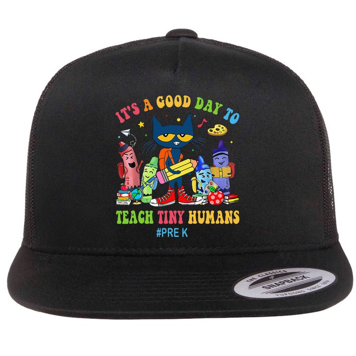 It's A Good Day To Teach Tiny Humans PreK Cat Teacher Lover Flatbill Hat