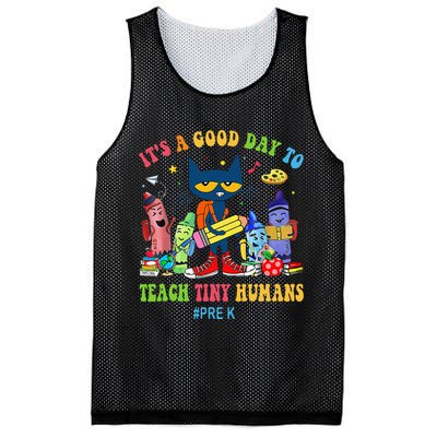 It's A Good Day To Teach Tiny Humans PreK Cat Teacher Lover Mesh Reversible Basketball Jersey Tank