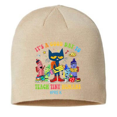It's A Good Day To Teach Tiny Humans PreK Cat Teacher Lover Sustainable Beanie