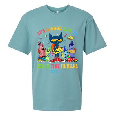 It's A Good Day To Teach Tiny Humans PreK Cat Teacher Lover Sueded Cloud Jersey T-Shirt