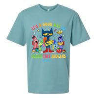 It's A Good Day To Teach Tiny Humans PreK Cat Teacher Lover Sueded Cloud Jersey T-Shirt