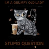 IM A Grumpy Old Lady If You DonT Want Sarcastic Answer Cat 16oz Travel Tumbler