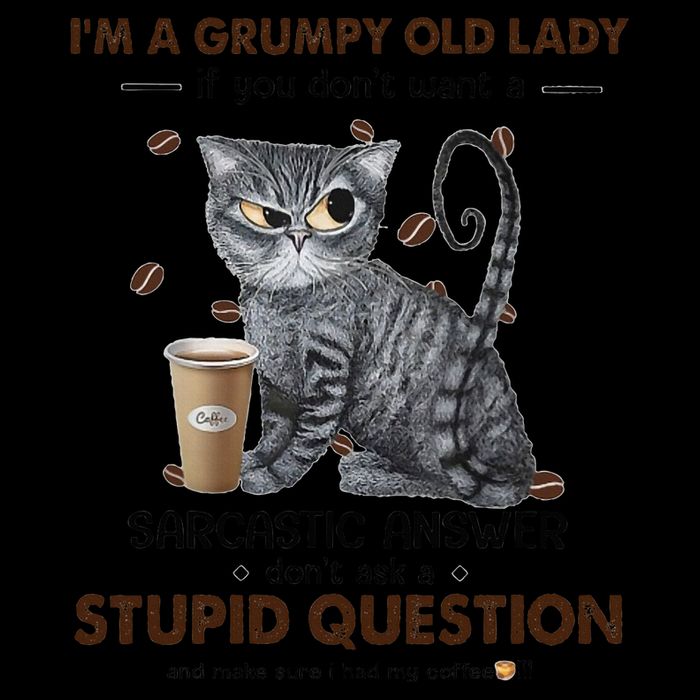 IM A Grumpy Old Lady If You DonT Want Sarcastic Answer Cat 16oz Travel Tumbler