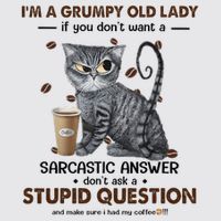 IM A Grumpy Old Lady If You DonT Want Sarcastic Answer Cat Womens Funnel Neck Pullover Hood