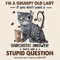 IM A Grumpy Old Lady If You DonT Want Sarcastic Answer Cat Garment-Dyed Women's Muscle Tee