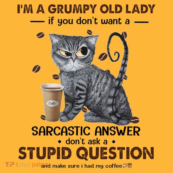IM A Grumpy Old Lady If You DonT Want Sarcastic Answer Cat Sustainable Knit Beanie