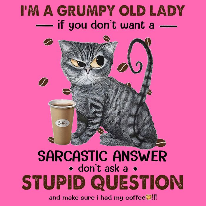 IM A Grumpy Old Lady If You DonT Want Sarcastic Answer Cat Stripe Pom Pom Beanie