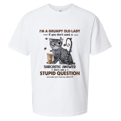 IM A Grumpy Old Lady If You DonT Want Sarcastic Answer Cat Sueded Cloud Jersey T-Shirt