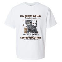 IM A Grumpy Old Lady If You DonT Want Sarcastic Answer Cat Sueded Cloud Jersey T-Shirt