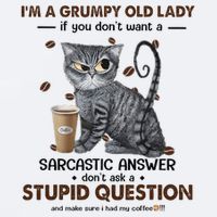 IM A Grumpy Old Lady If You DonT Want Sarcastic Answer Cat Sueded Cloud Jersey T-Shirt