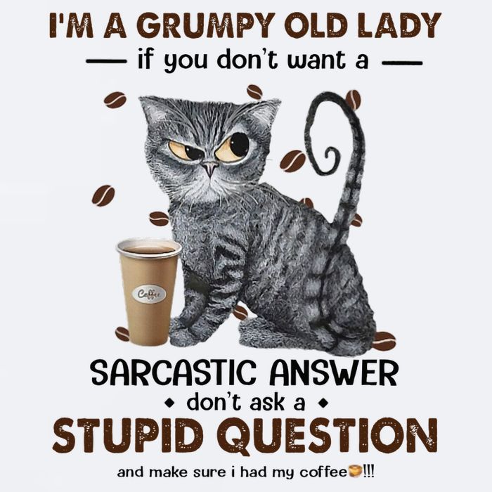IM A Grumpy Old Lady If You DonT Want Sarcastic Answer Cat Sueded Cloud Jersey T-Shirt