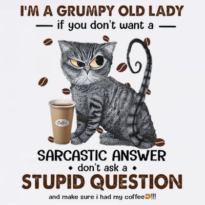 IM A Grumpy Old Lady If You DonT Want Sarcastic Answer Cat T-Shirt