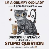 IM A Grumpy Old Lady If You DonT Want Sarcastic Answer Cat Sustainable Bucket Hat