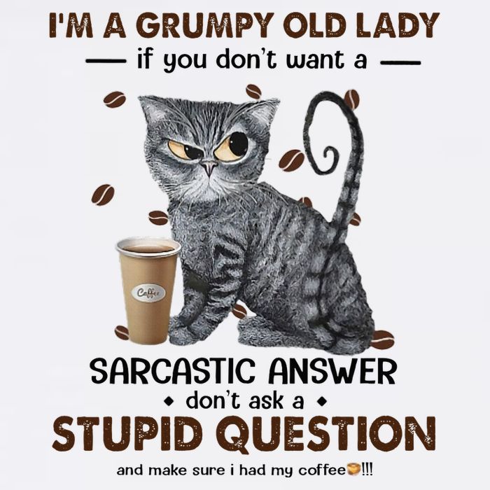 IM A Grumpy Old Lady If You DonT Want Sarcastic Answer Cat Bucket Hat