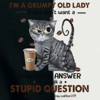 IM A Grumpy Old Lady If You DonT Want Sarcastic Answer Cat Infant Baby Jersey Bodysuit