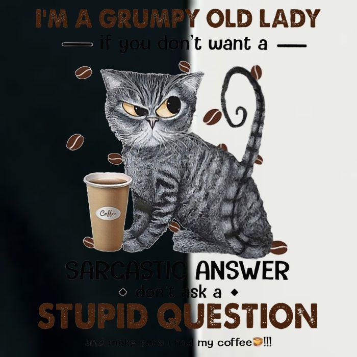 IM A Grumpy Old Lady If You DonT Want Sarcastic Answer Cat Infant Baby Jersey Bodysuit